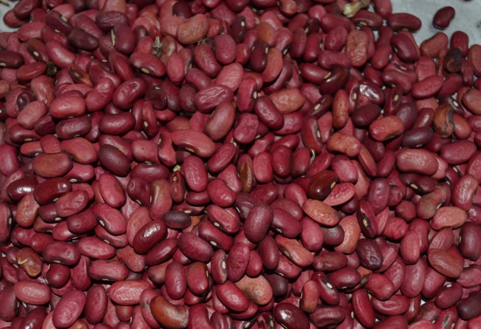 Haricots rouge du Togo 1kg - Afrisura